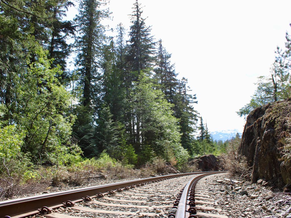 Treinspoor Whistler Train Wreck